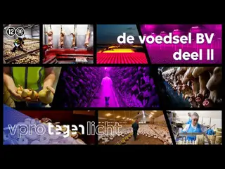 o ziet de Nederlandse voedselindustrie eruit (2/2) 