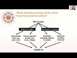 Dr Alina Chan - What was the journey of the virus from bat caves to cities?
